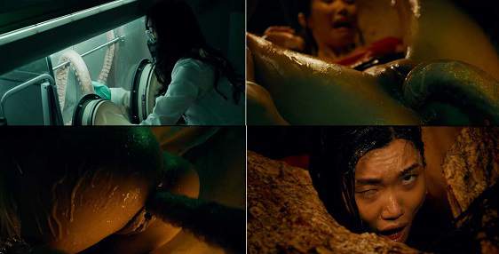 Lucy Mochi In The Cocoon